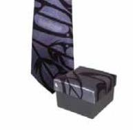 Eagles Feathers Tie